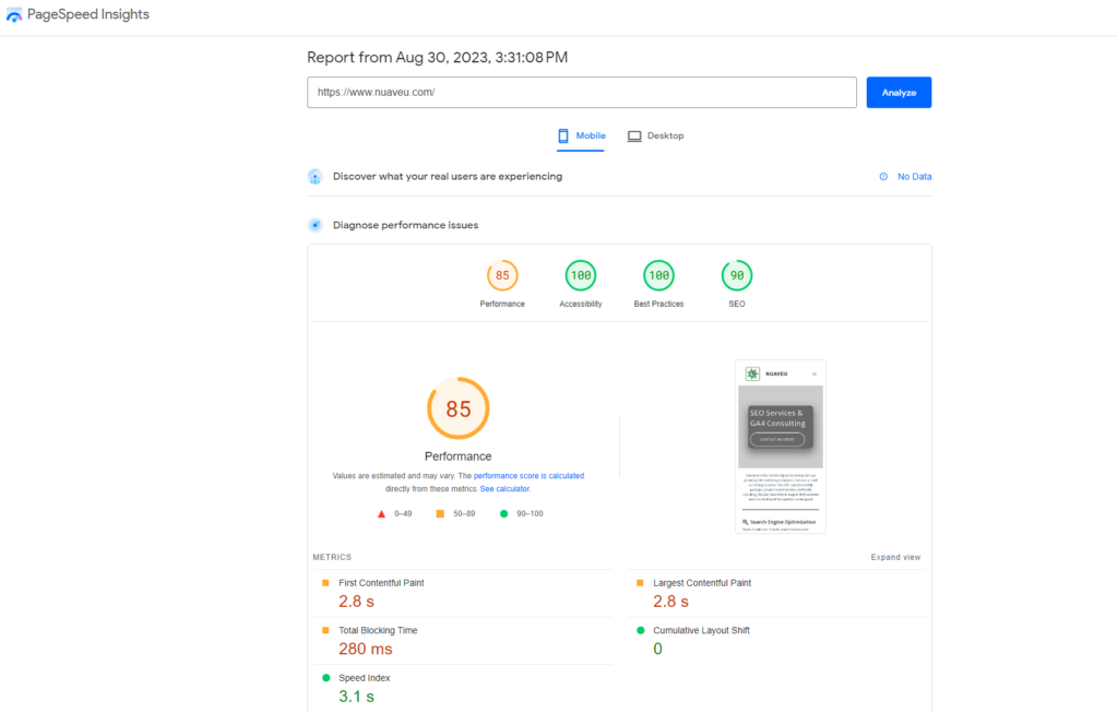 Google PageSpeed Insights report for nuaveu.com